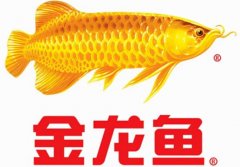 金龍魚到底是不是中國企業(yè)？為什么會入選國家品牌？