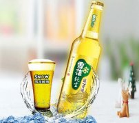 什么是雪花純生啤酒？