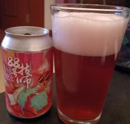24、小惡魔88號(hào)技師酸小麥Beer