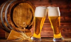 酒精可以消滅螞蟻嗎？(啤酒可以驅(qū)趕螞蟻嗎?)