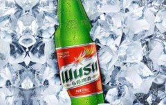 烏蘇啤酒650毫升多少錢？